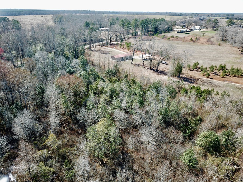 1964 County Line Road Dothan, AL 36305 - Photo 48 of 92