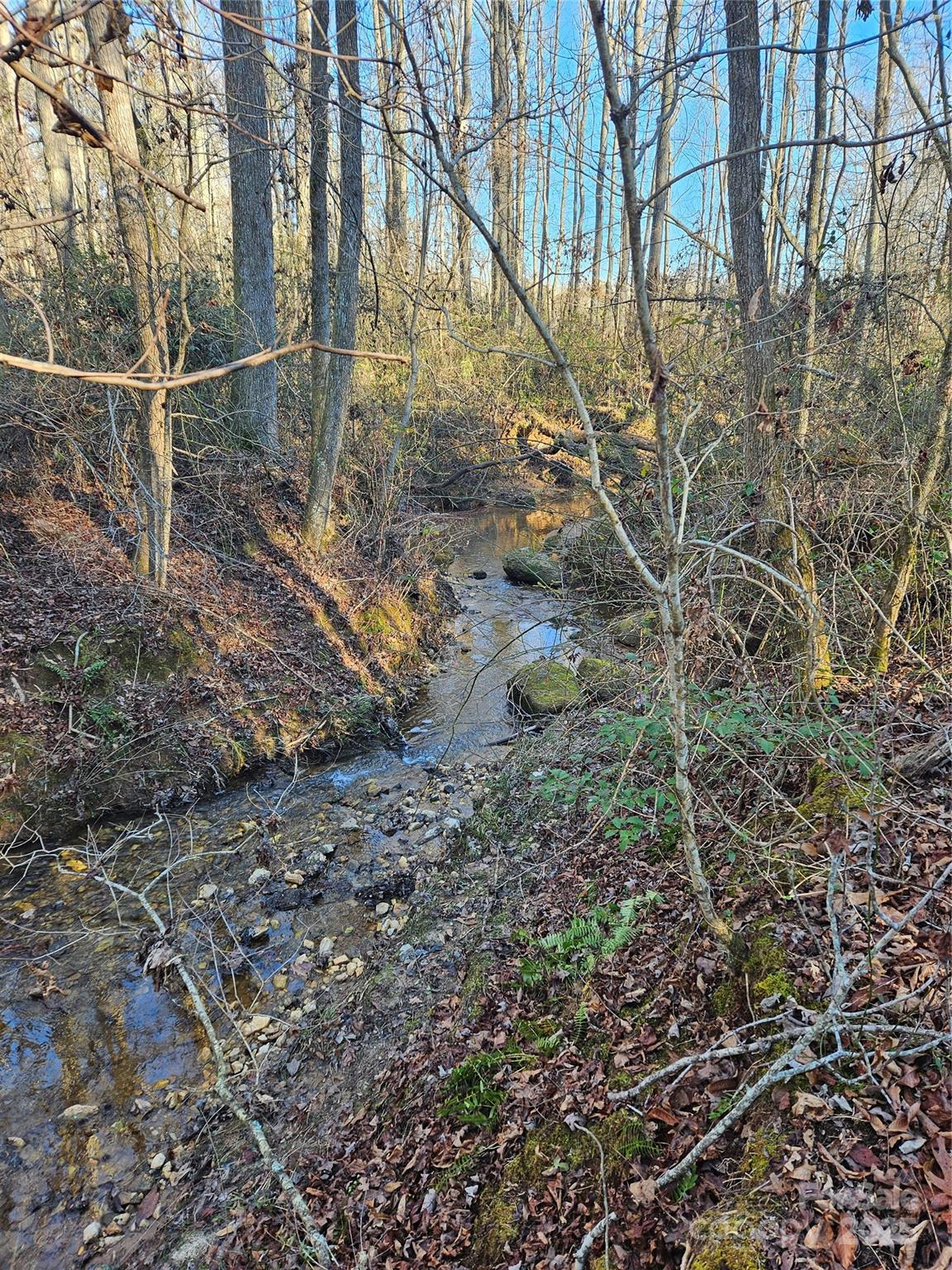 0 Oakland Road Forest City, NC 28043 - Photo 8 of 26 Gallery Image 8