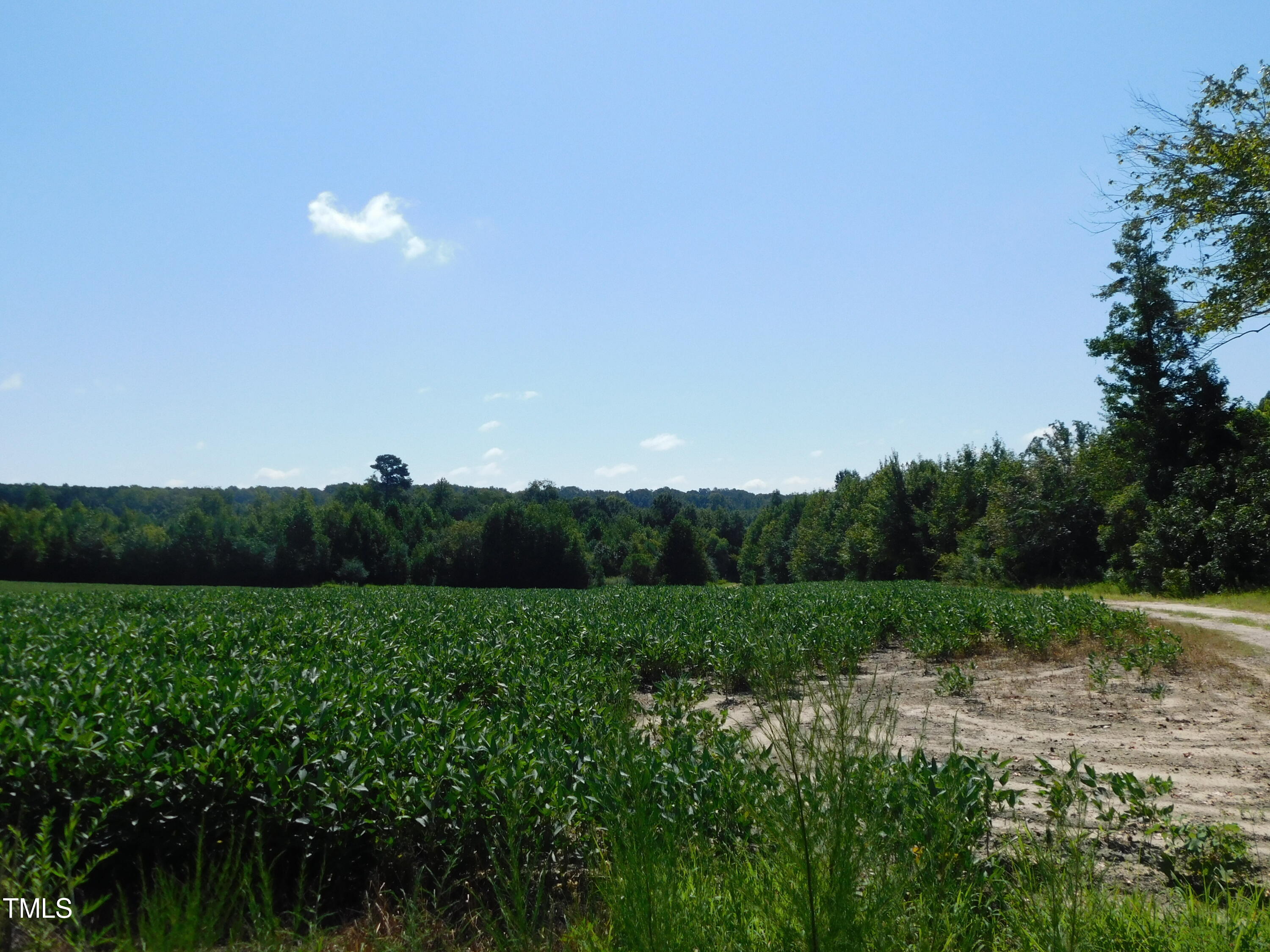 8186 Edwards Road Castalia, NC 27816 - Photo 14 of 19 DSCN0686