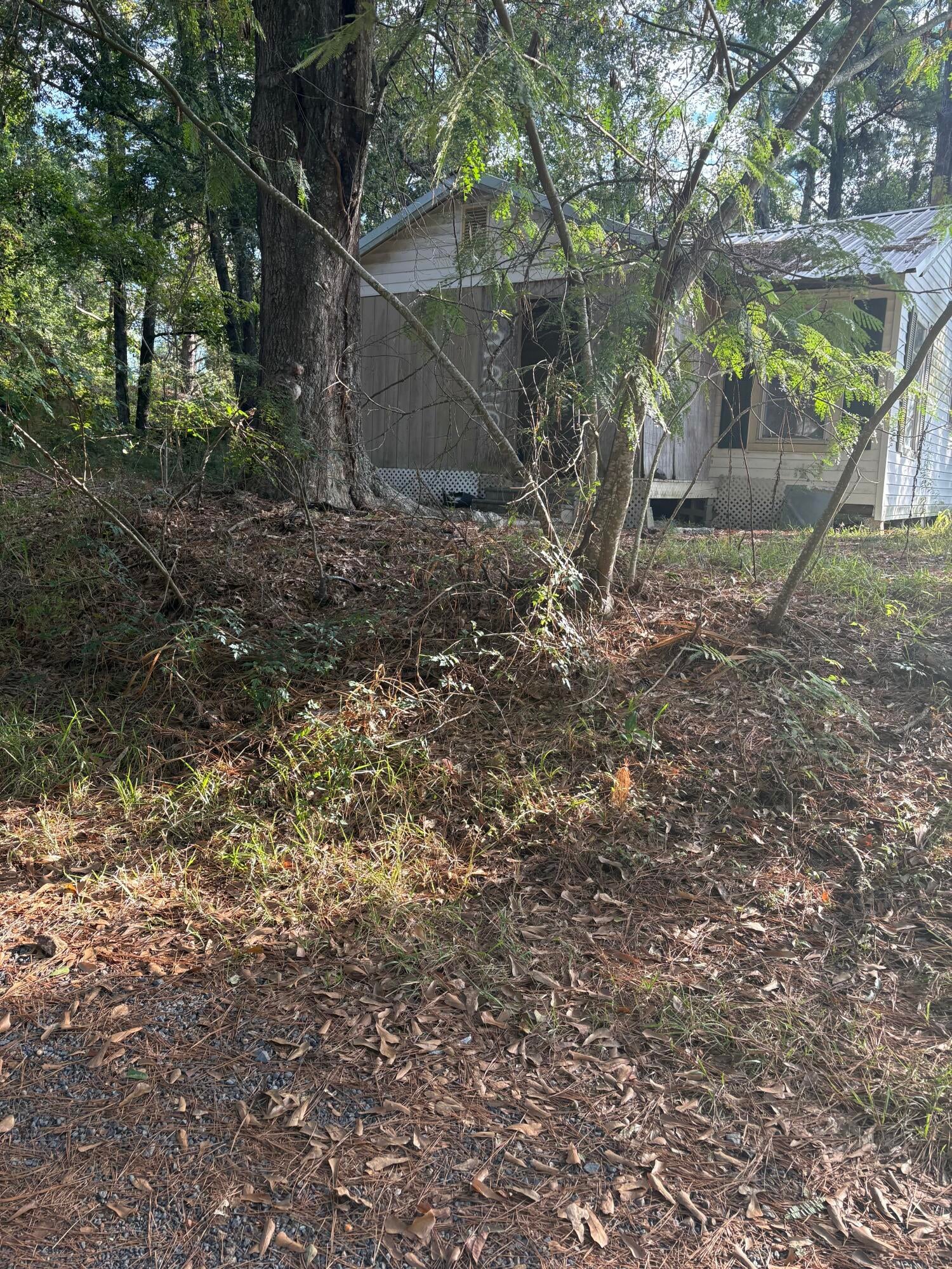 335 Watson Road Leesville, LA 71446 - Photo 2 of 2 Gallery Image 2