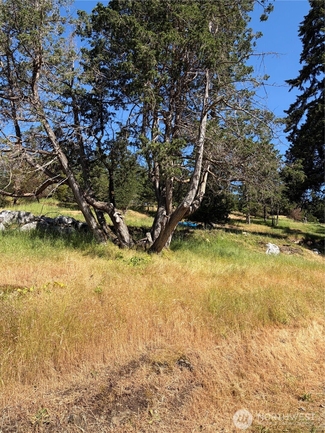 1024 Deer Harbor Road Orcas Island, WA 98245 - Photo 6 of 12