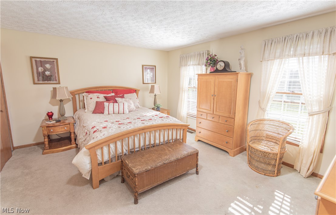 15613 Garfield Road Wakeman, OH 44889 - Photo 29 of 35
