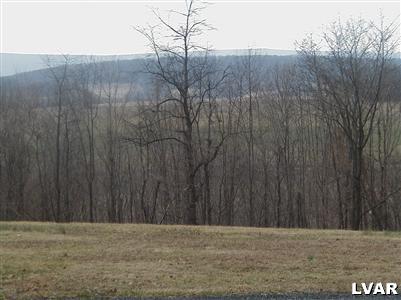 0 Red Road Kempton, PA 19529 - Photo 4 of 4 Gallery Image 4