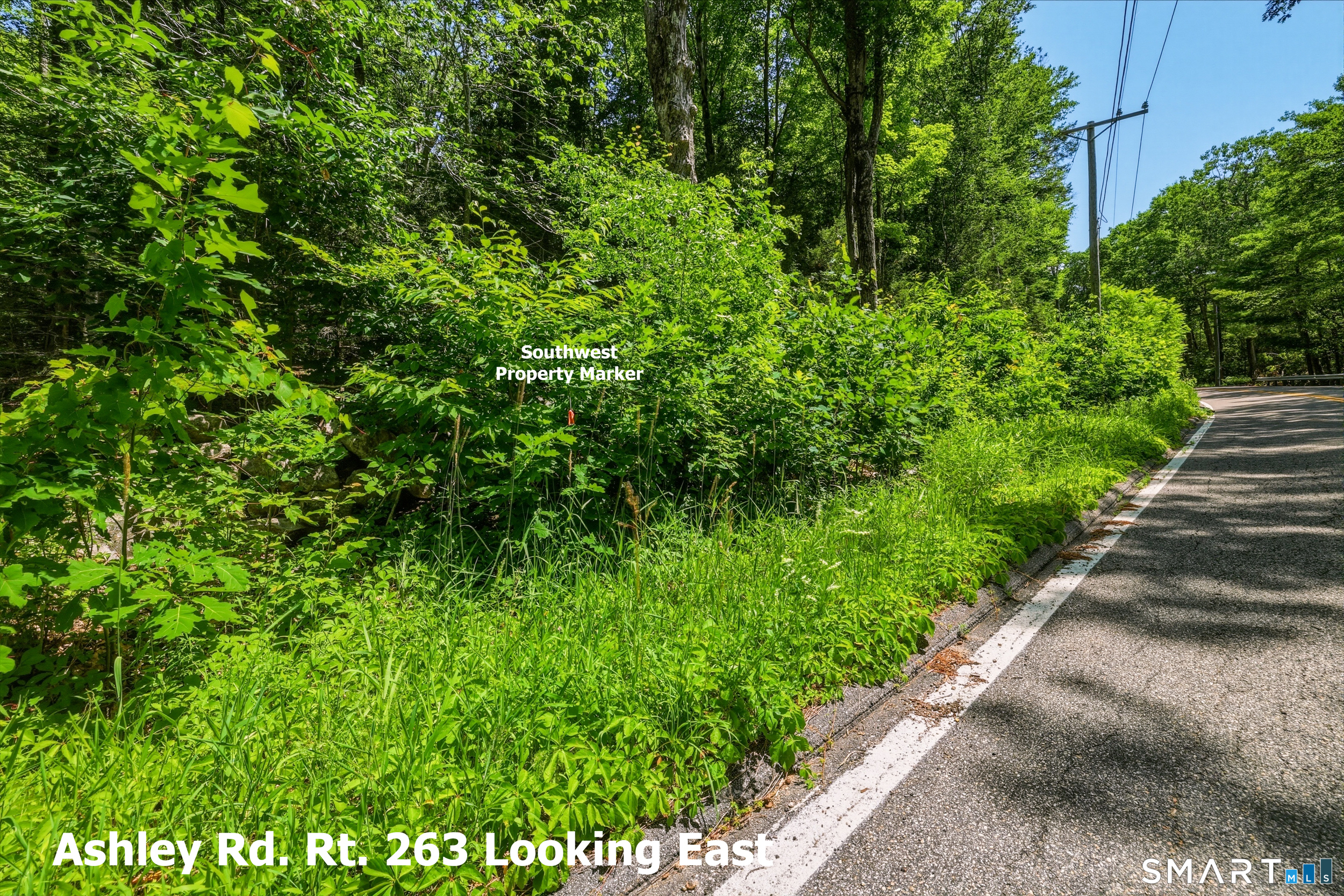Ashley Road Winsted, CT 06098 - Photo 13 of 19