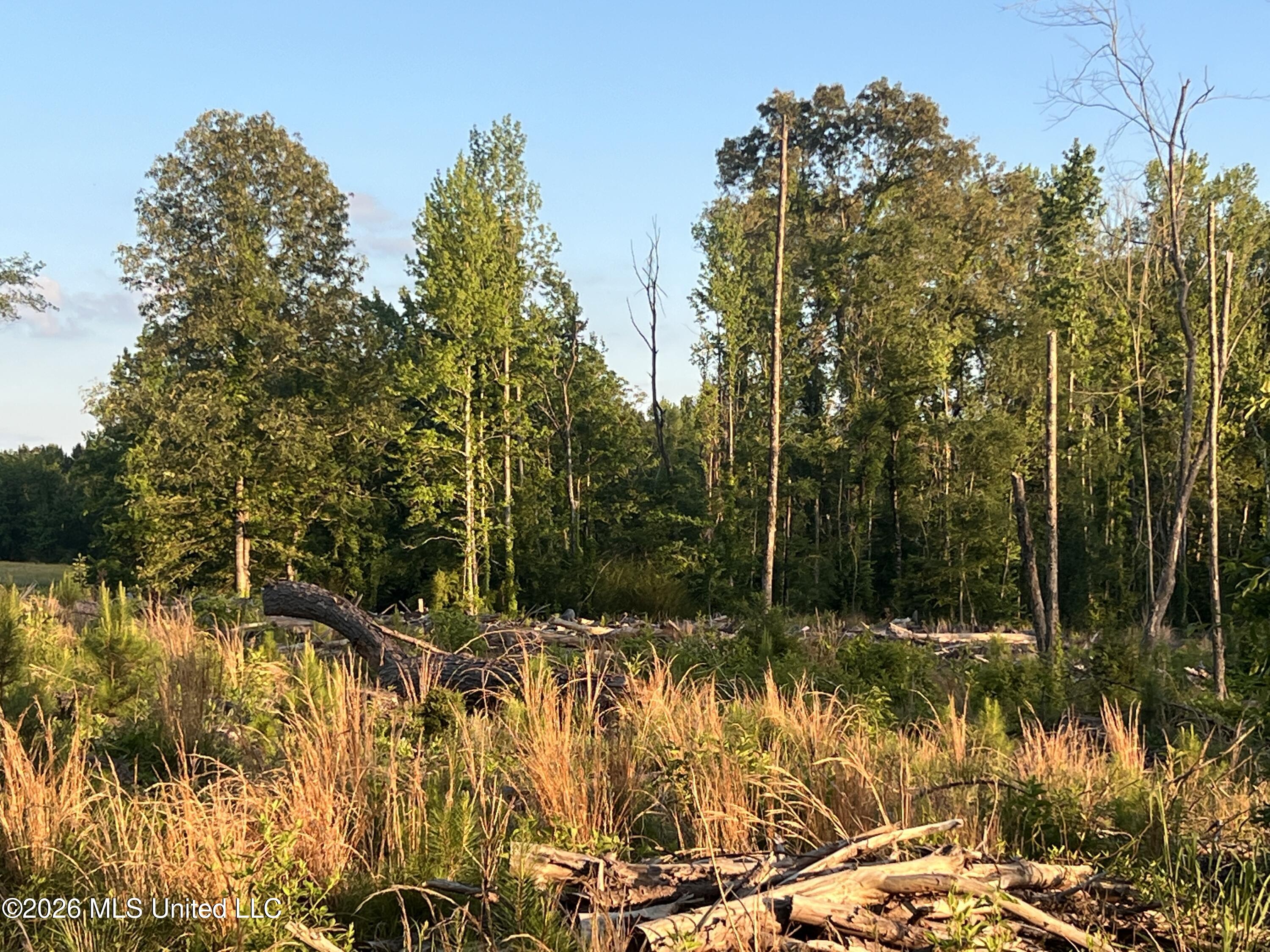 5734 Hebron Road Liberty, MS 39645 - Photo 18 of 32 18.