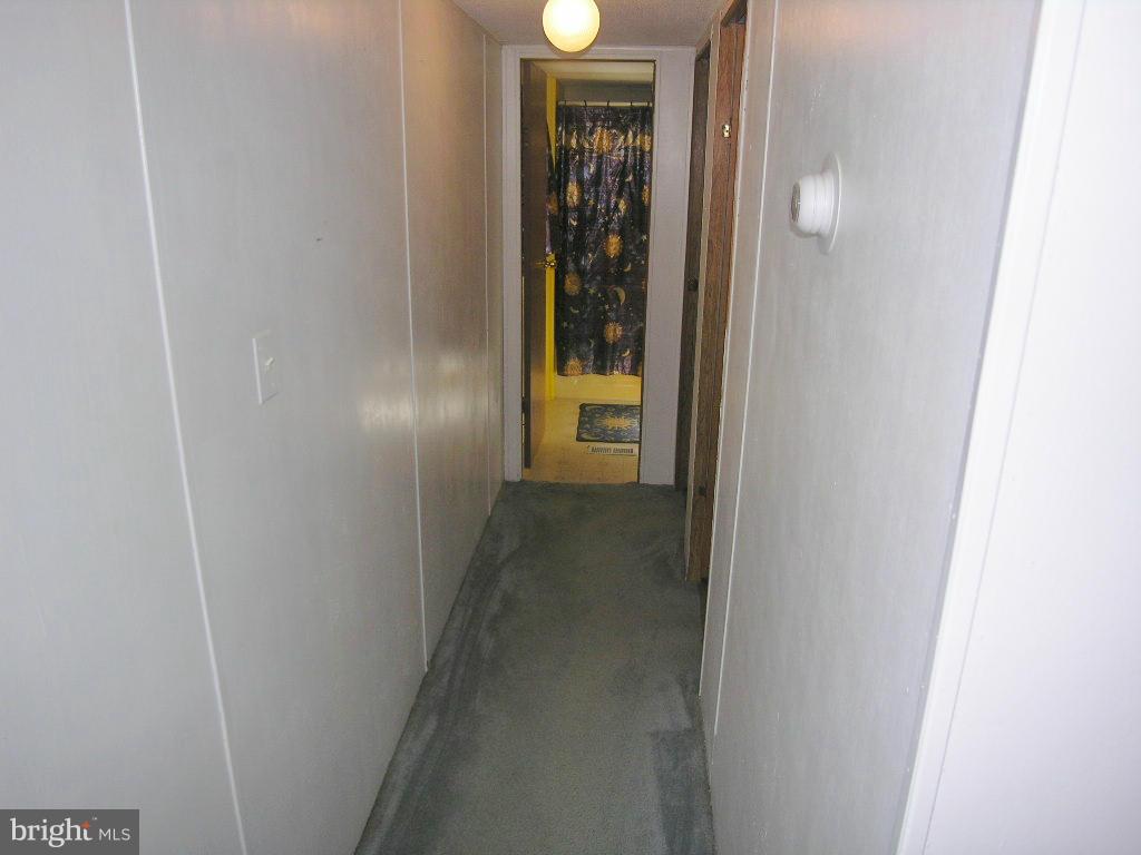 Interior (General)
