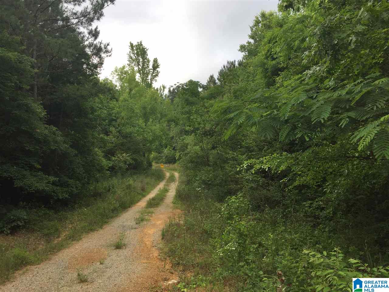 5373 Mud Creek Road, Unit 49 Adger, AL 35006 - Photo 4 of 6