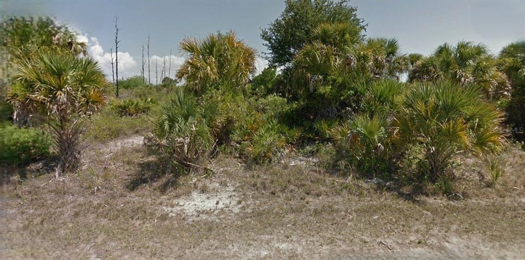 a view of a yard with a tree
