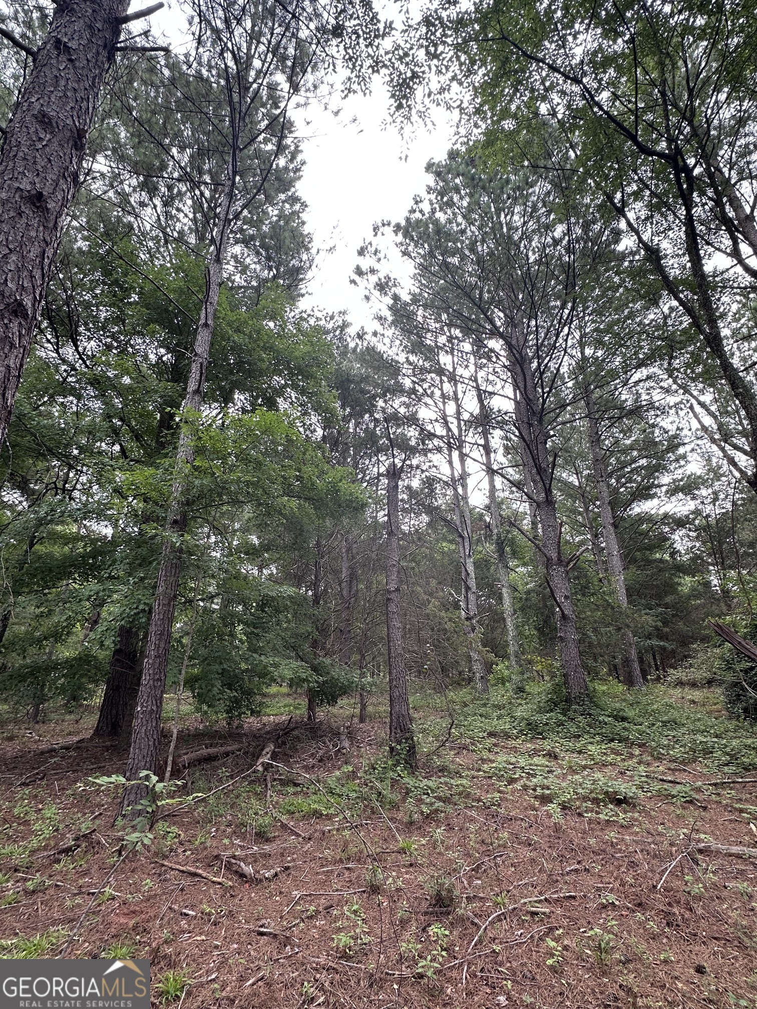 440 West Williamson Road Williamson, GA 30292 - Photo 8 of 23