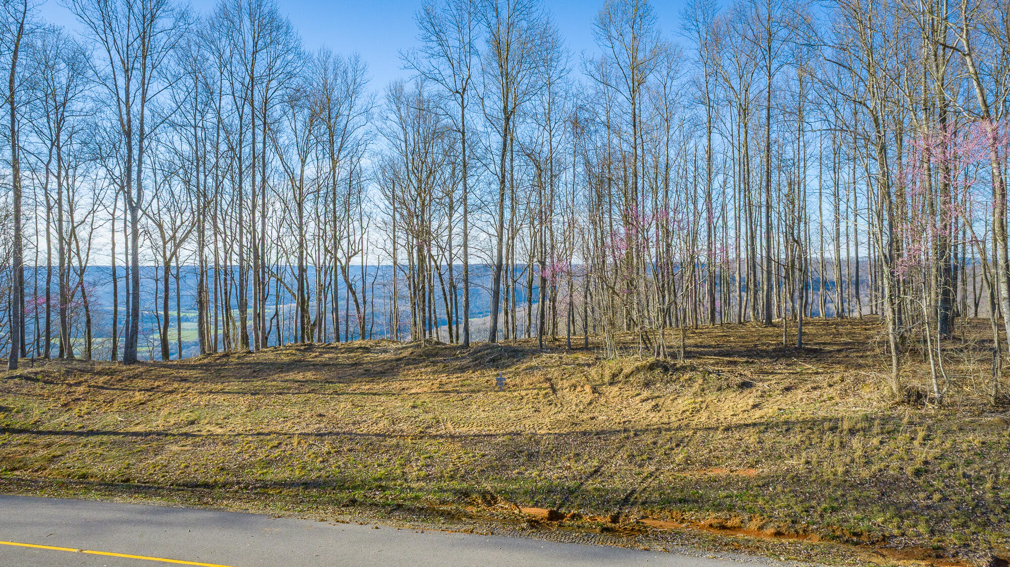 0 Cherokee Path, Unit JF269 Jasper, TN 37347 - Photo 67 of 94 0 Cherokee Path - JF269 HD-66