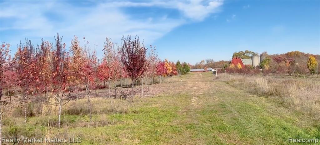 5770 Denhoff Road Kingston, MI 48741 - Photo 6 of 26 Gallery Image 6