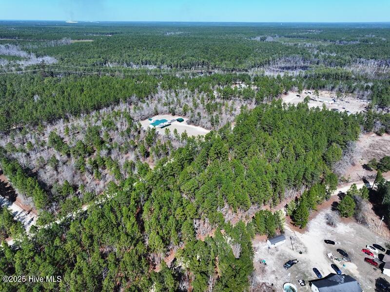 Tbd Boondocks Road Laurel Hill, NC 28351 - Photo 4 of 11 DJI_20250225140343_0448_D
