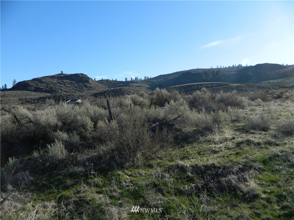 111-tbd Hubbard Road Riverside, WA 98849 - Photo 1 of 8