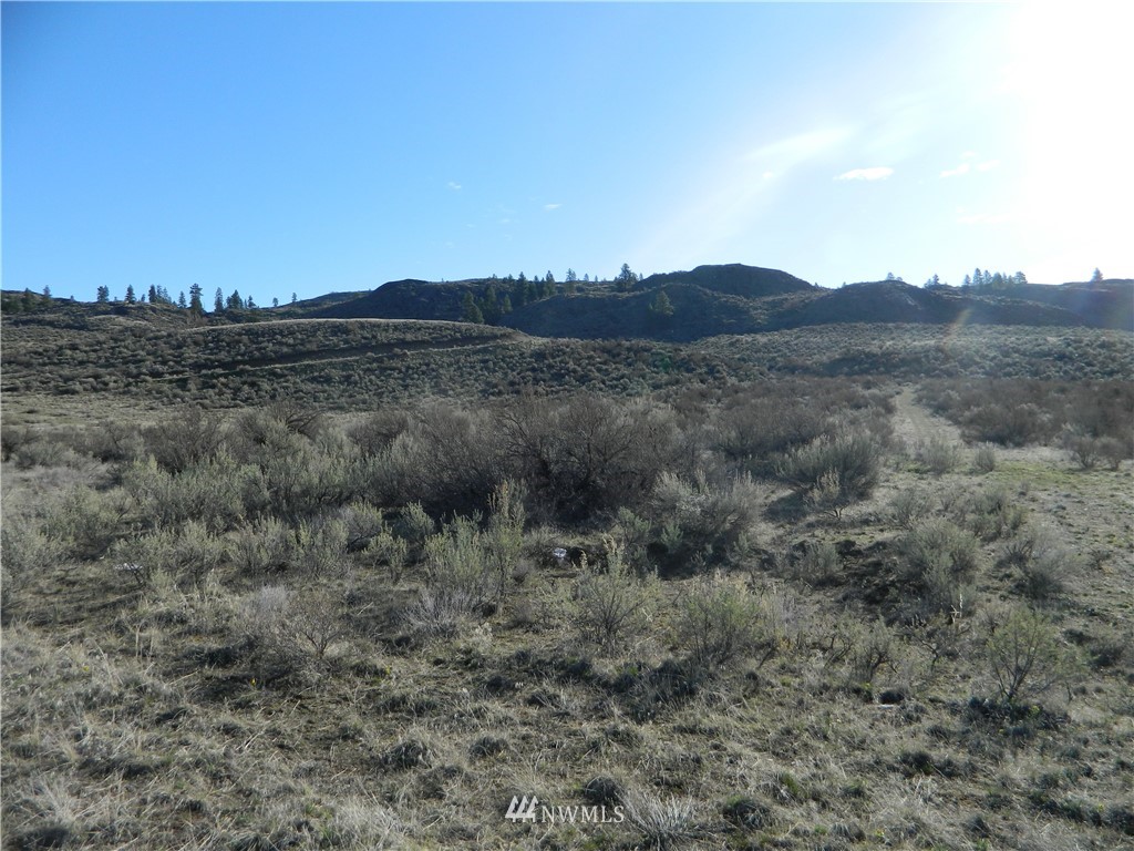 111-tbd Hubbard Road Riverside, WA 98849 - Photo 2 of 8