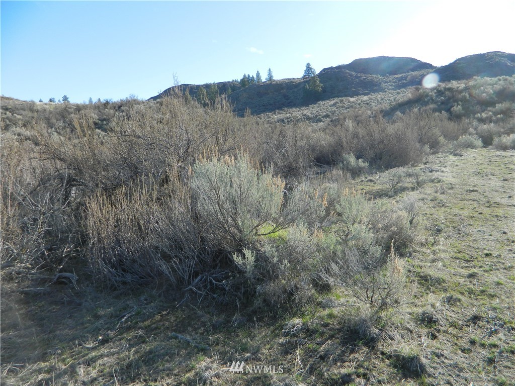 111-tbd Hubbard Road Riverside, WA 98849 - Photo 5 of 8