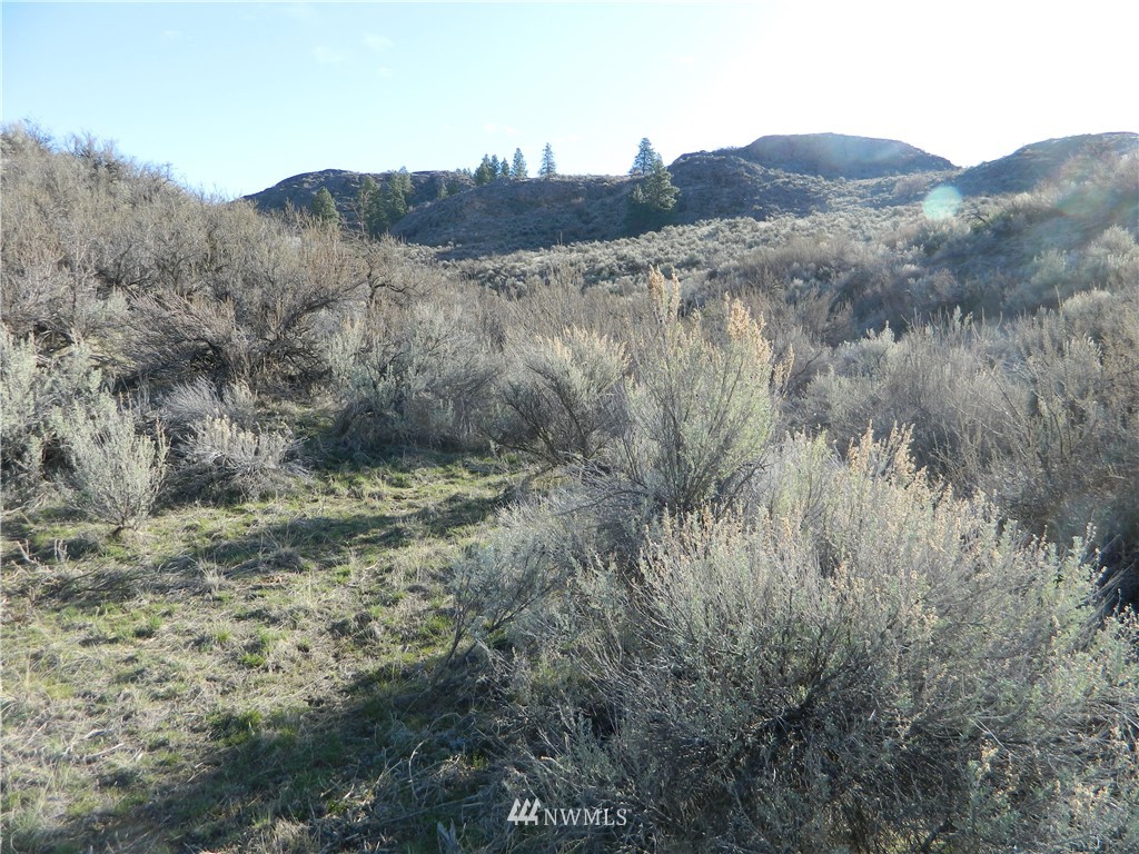 111-tbd Hubbard Road Riverside, WA 98849 - Photo 7 of 8