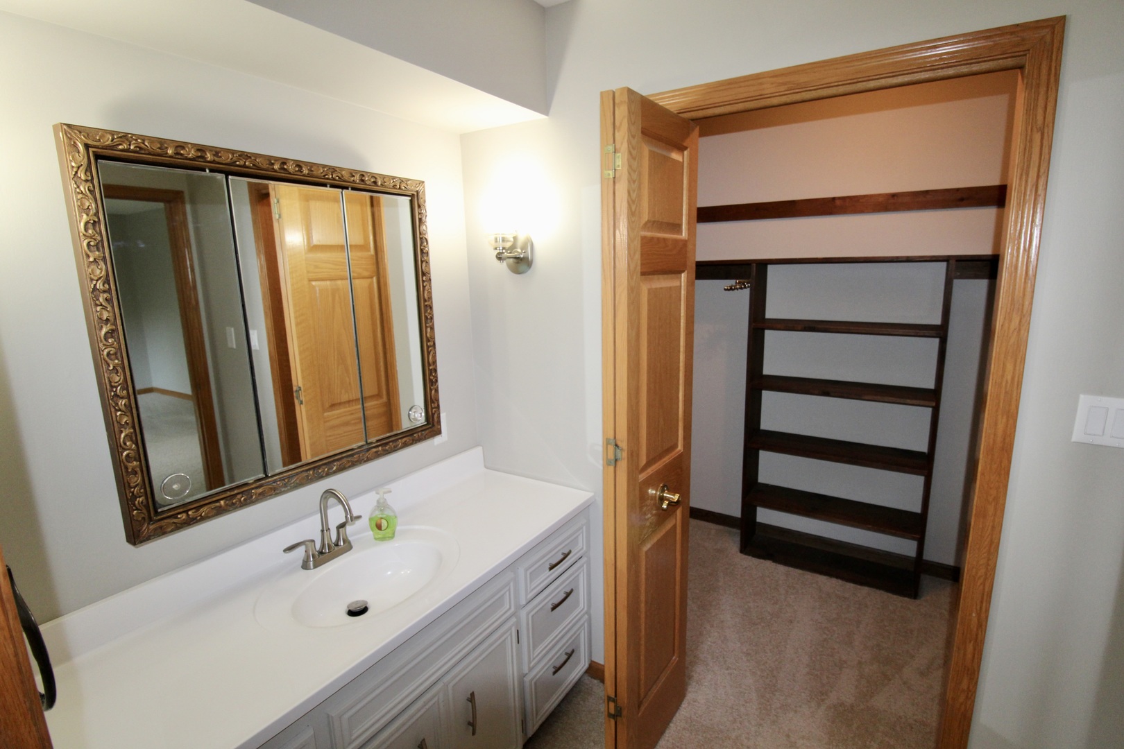 1505 Pheasant Run Road Harvard, IL 60033 - Photo 23 of 30 a bathroom with a sink a mirror and a bathtub