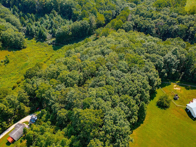 411 Alum Cave Road McKee, KY 40447 - Photo 35 of 37 IMG_3143