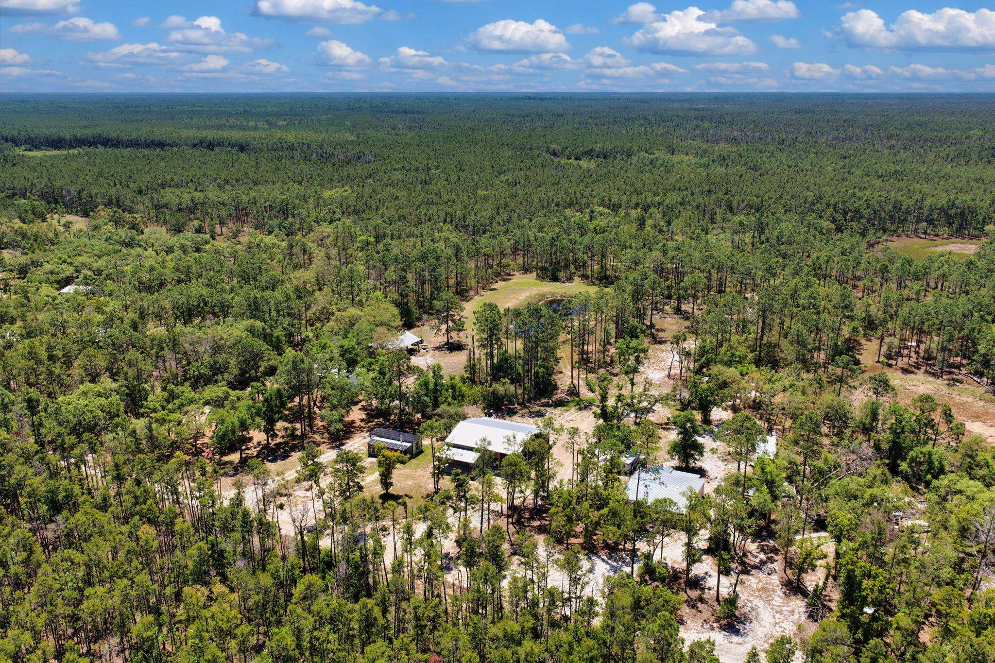 2151 Politic Road Perry, FL 32348 - Photo 50 of 53