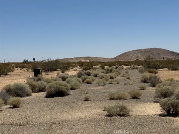 a view of a dry field