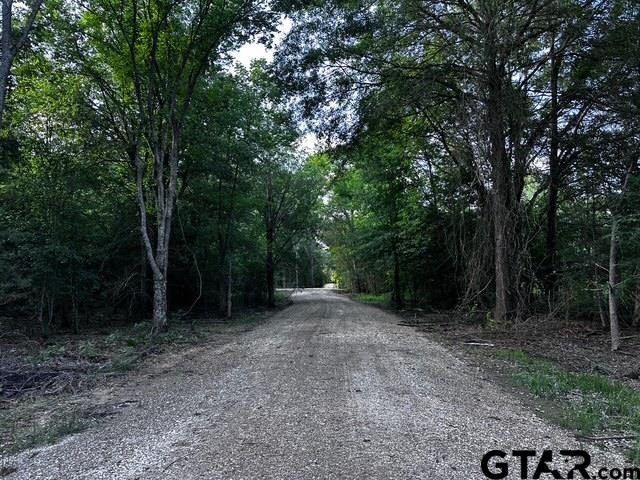 333 Private Road Van, TX 75790 - Photo 11 of 18 a view of a forest with trees in the background