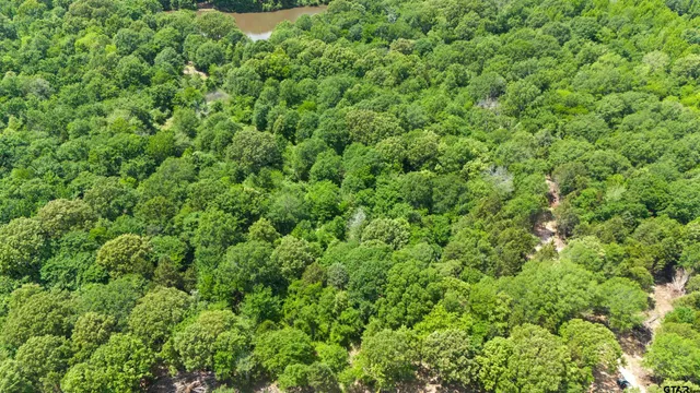 a view of a lush green forest with a houses