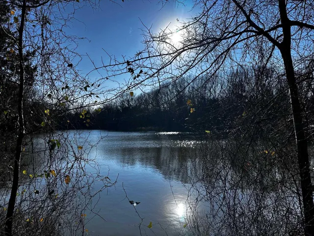 a view of water with a yard