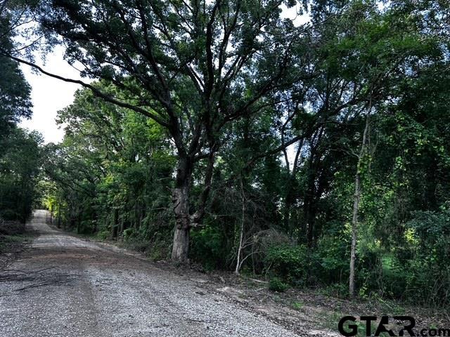 333 Private Road Van, TX 75790 - Photo 9 of 18 a view of a forest