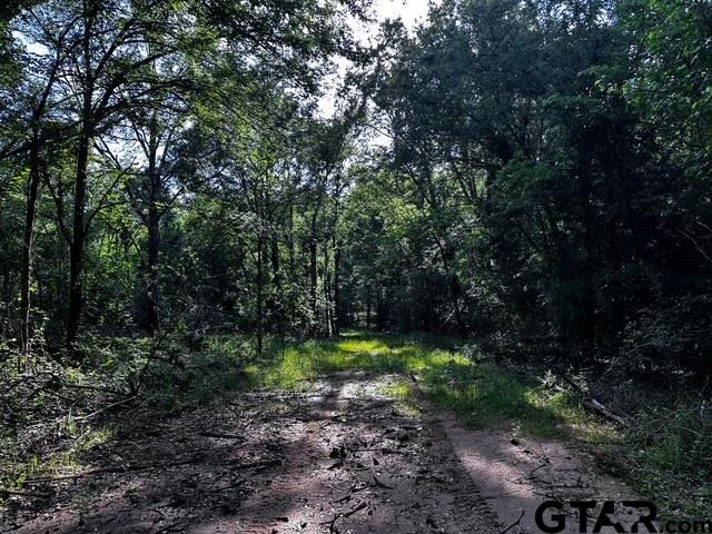 333 Private Road Van, TX 75790 - Photo 10 of 18 a view of outdoor space and trees