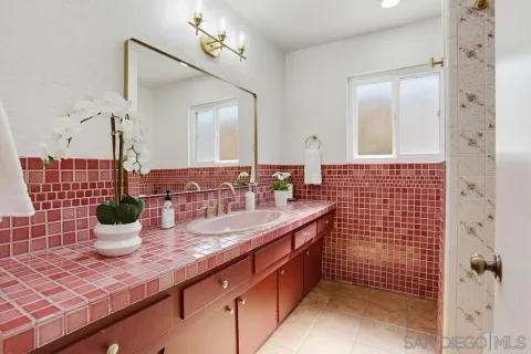 a bathroom with a sink a mirror and potted plant