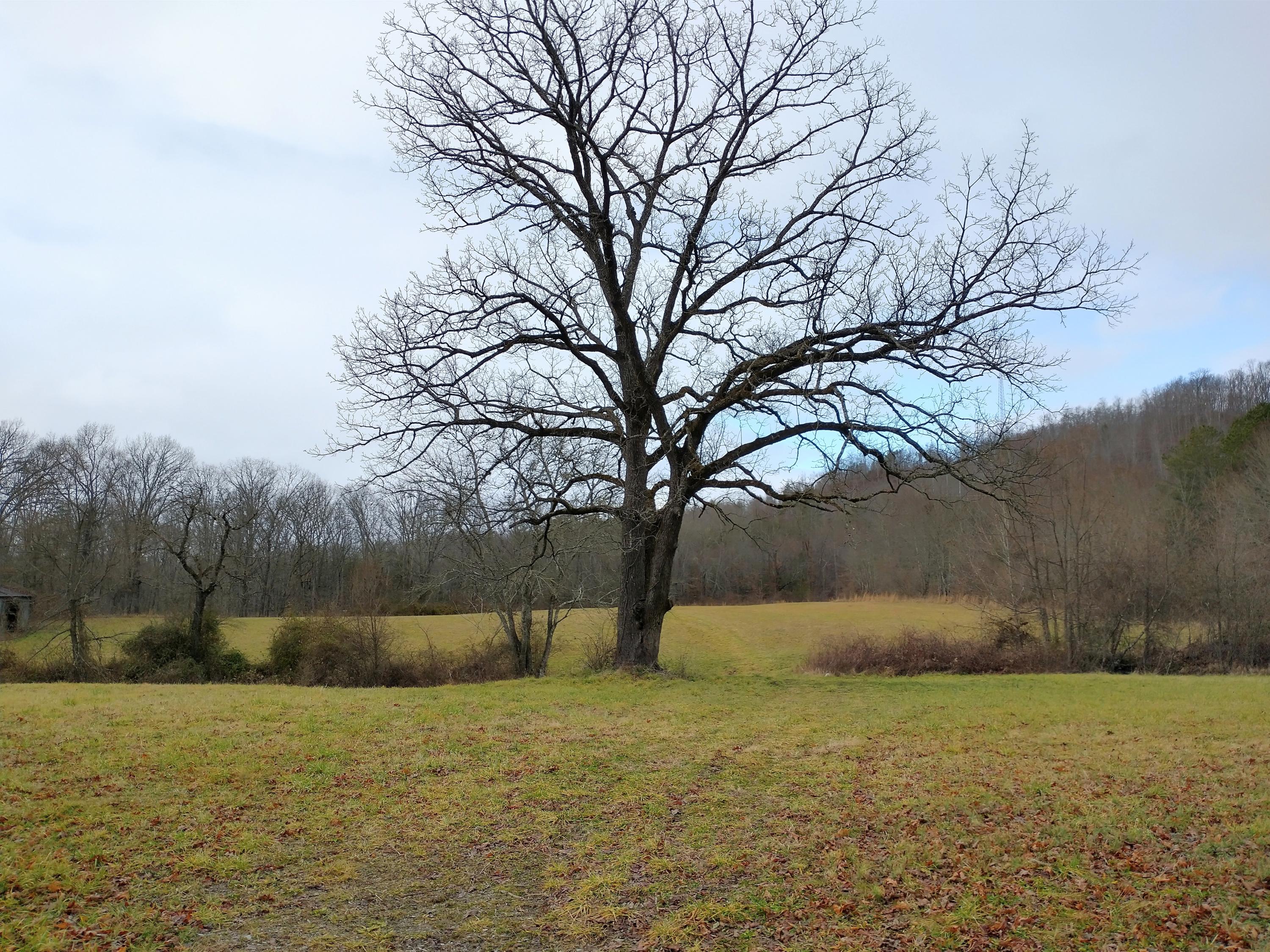 Grassy Knob Road Robbins, TN 37852 - Photo 1 of 8 IMG_20210103_130314247_HDR