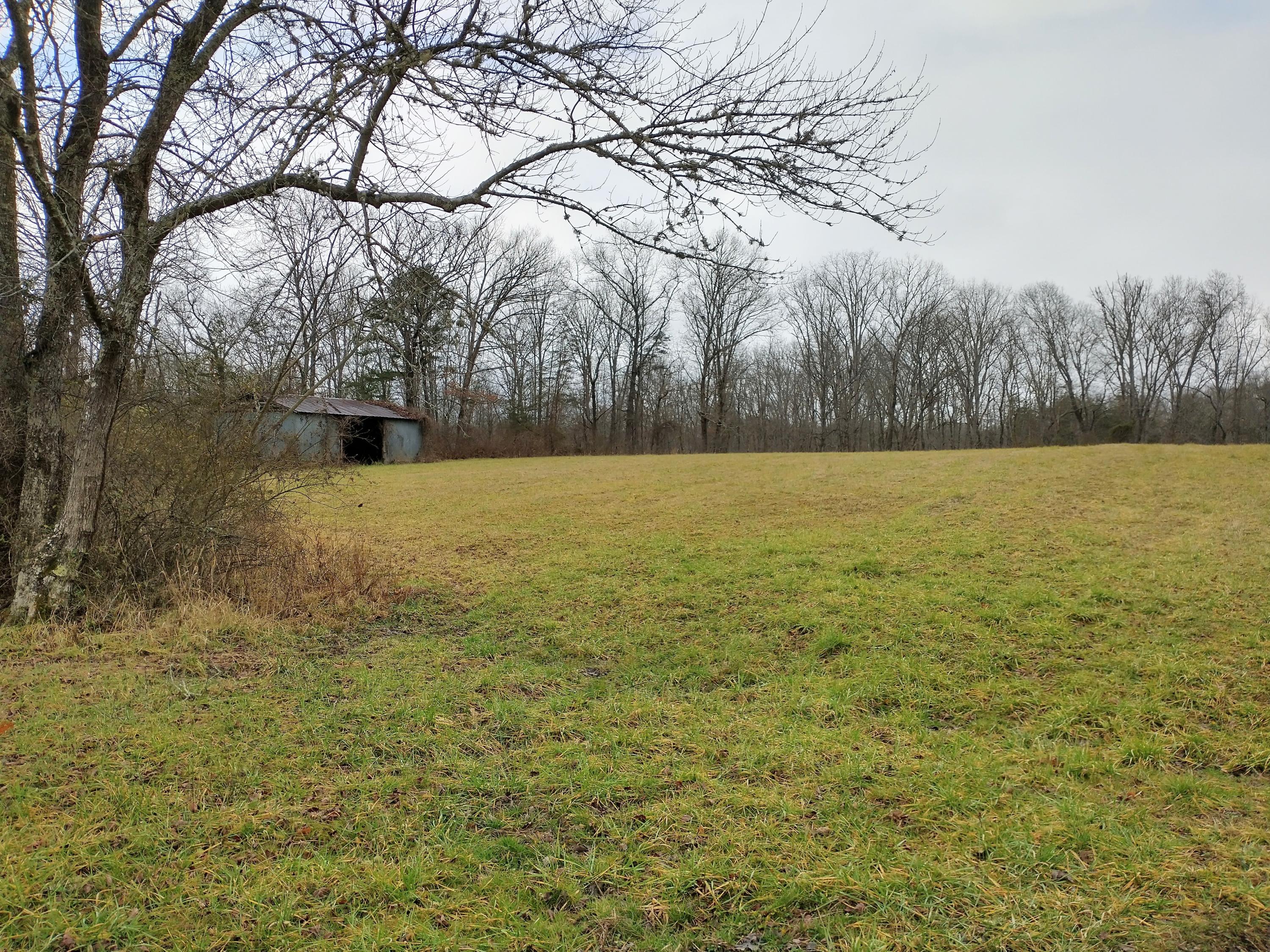 Grassy Knob Road Robbins, TN 37852 - Photo 2 of 8 IMG_20210103_130206081_HDR