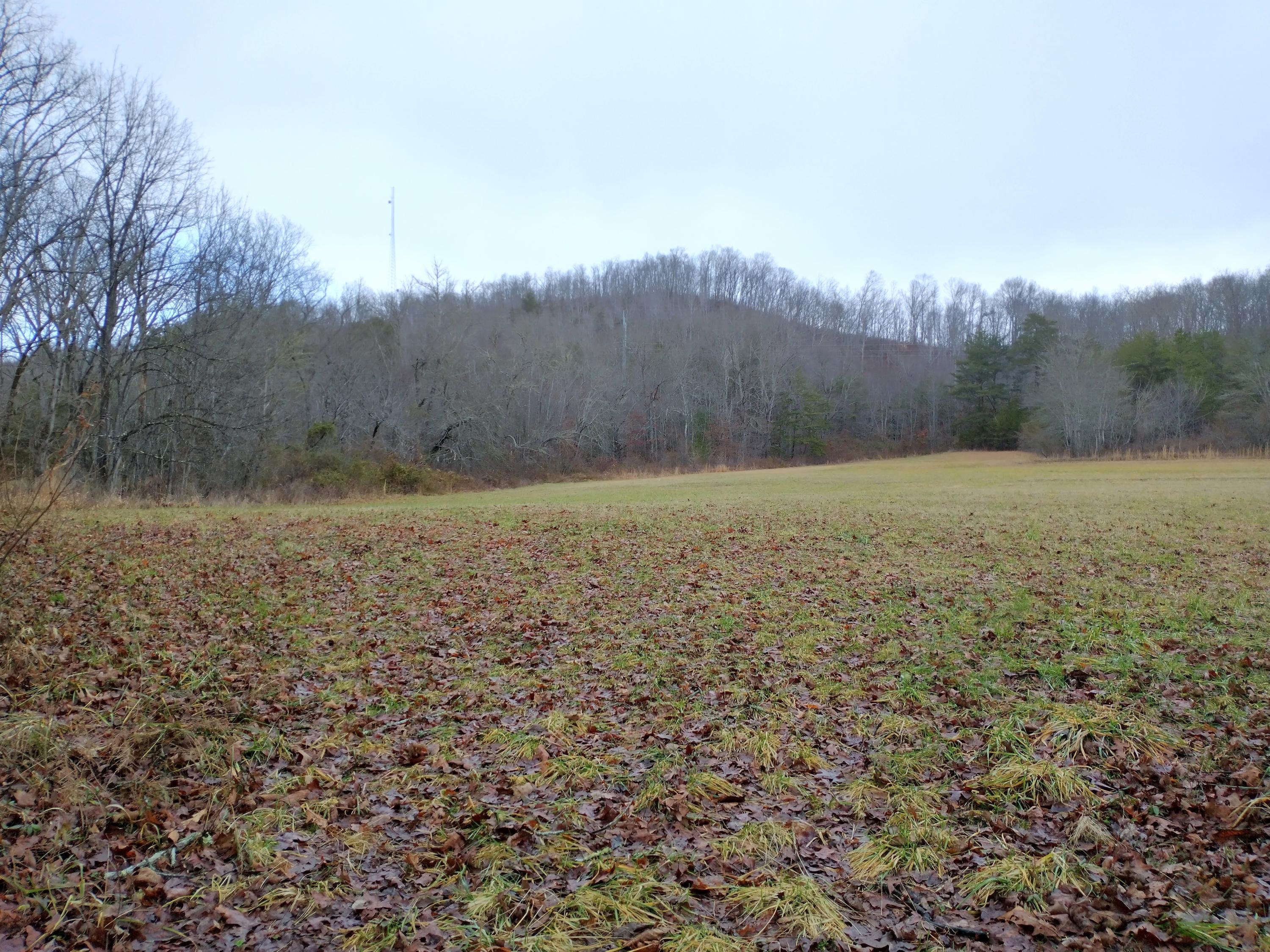 Grassy Knob Road Robbins, TN 37852 - Photo 4 of 8 IMG_20210103_125641822_HDR