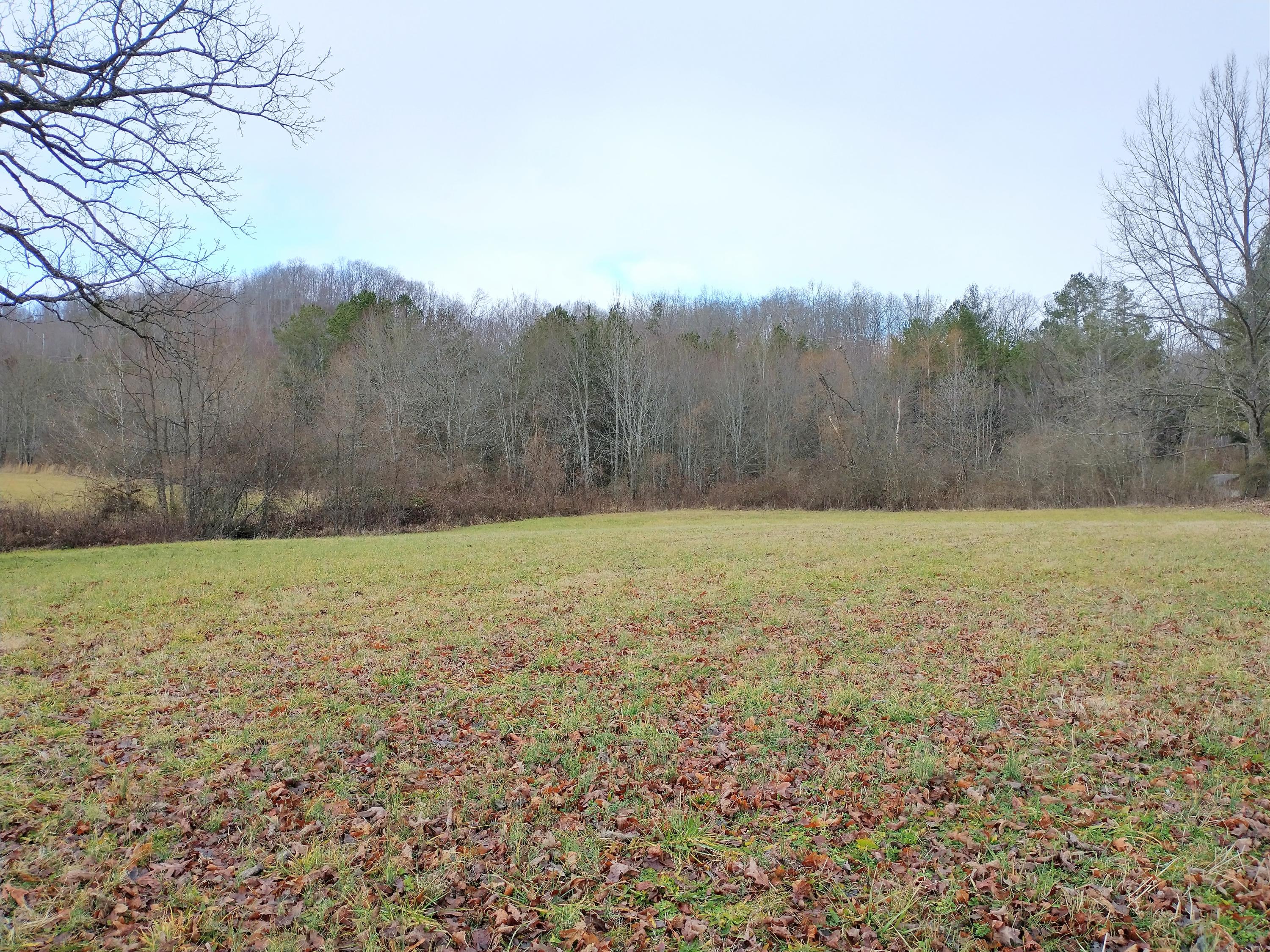 Grassy Knob Road Robbins, TN 37852 - Photo 7 of 8 IMG_20210103_130241924_HDR