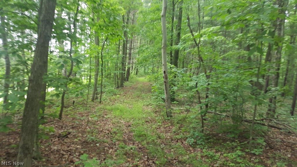 5846 Holmes Church Road Northeast New Philadelphia, OH 44663 - Photo 17 of 34