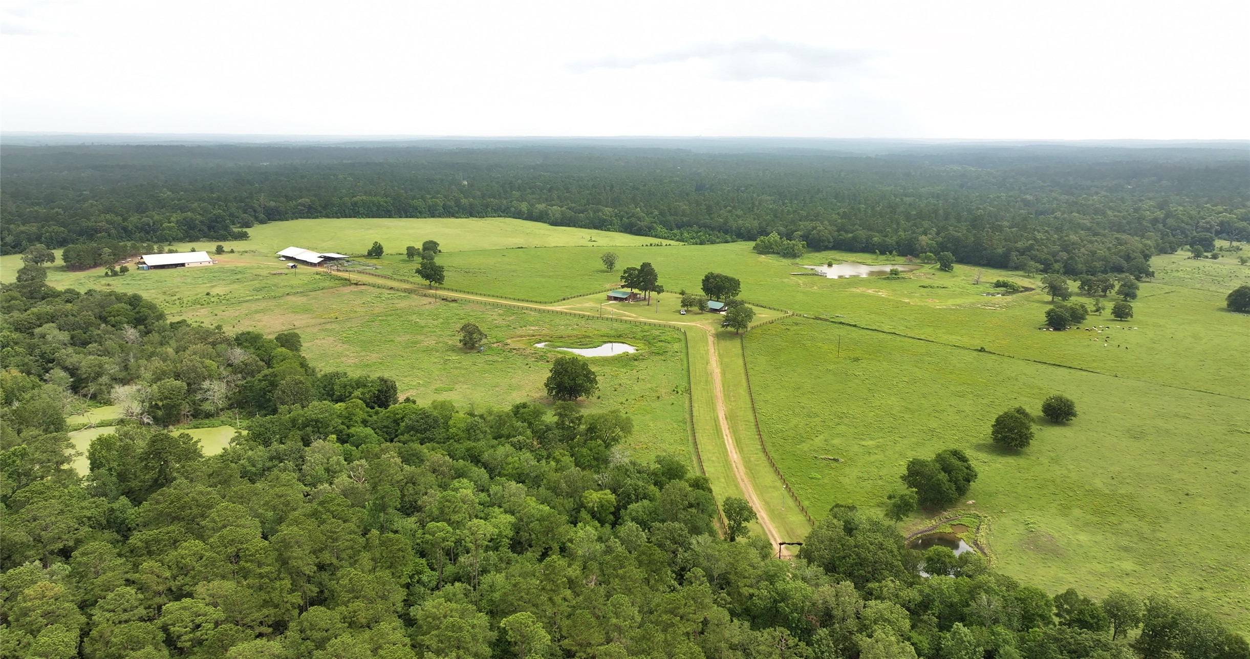 44 Bucking Bull Road Huntsville, TX 77340 - Photo 22 of 50 Gallery Image 22