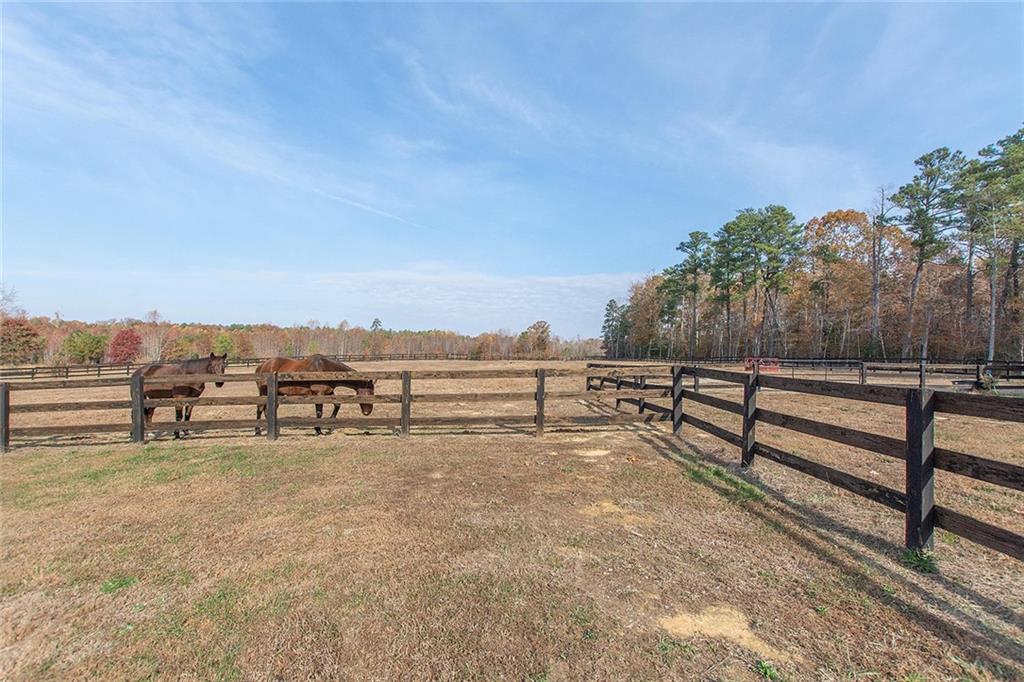 9481 Sturgeon Point Road Charles City, VA 23030 - Photo 19 of 44 a view of a terrace with trees