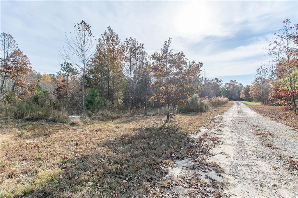 9481 Sturgeon Point Road Charles City, VA 23030 - Photo 36 of 44 a view of a yard with a tree