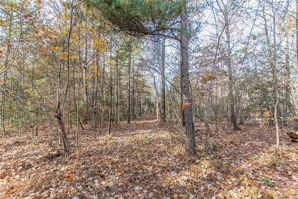 9481 Sturgeon Point Road Charles City, VA 23030 - Photo 39 of 44 a view of empty room with trees