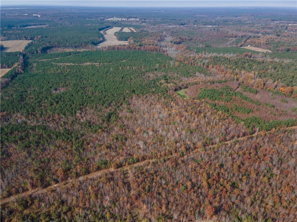 9481 Sturgeon Point Road Charles City, VA 23030 - Photo 41 of 44 a view of a big yard with green space