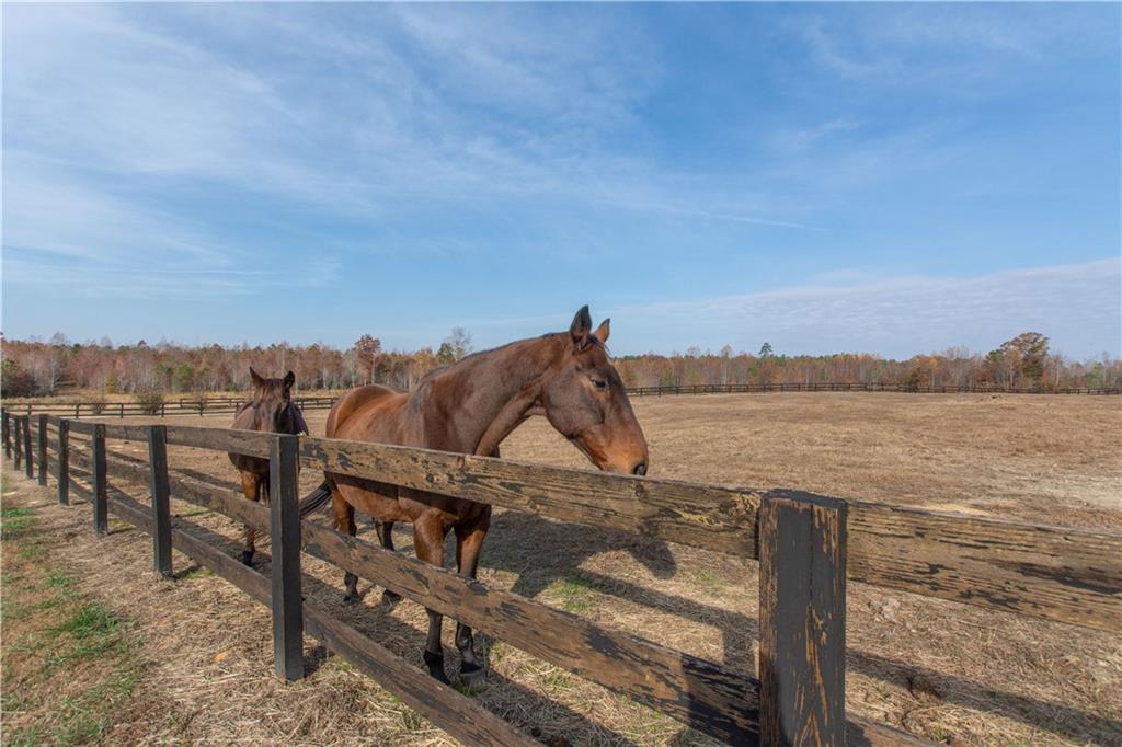 9481 Sturgeon Point Road Charles City, VA 23030 - Photo 5 of 44 a view of a terrace with a lake