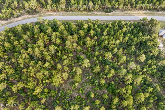 $17,499 | Xxx Shenandoah Boulevard, Chipley, FL 32428