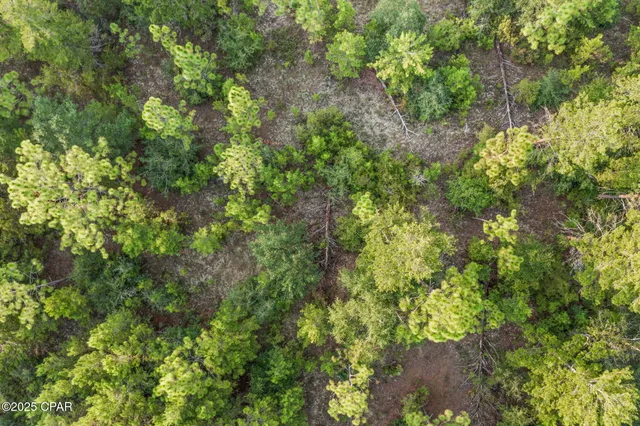 $17,499 | Xxx Shenandoah Boulevard, Chipley, FL 32428