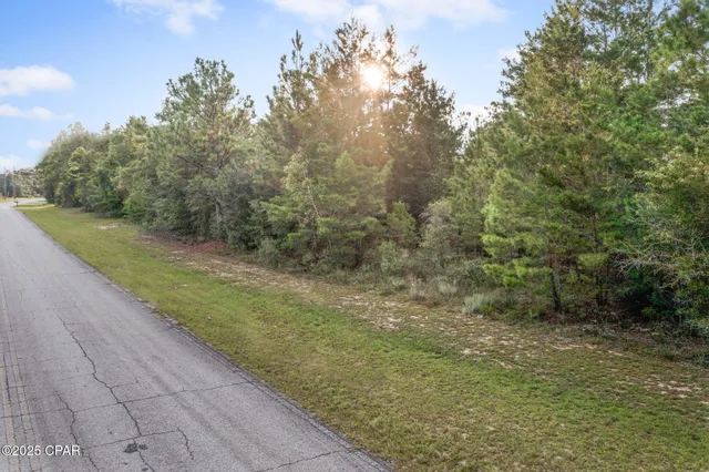 $17,499 | Xxx Shenandoah Boulevard, Chipley, FL 32428