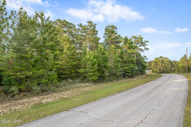 $17,499 | Xxx Shenandoah Boulevard, Chipley, FL 32428