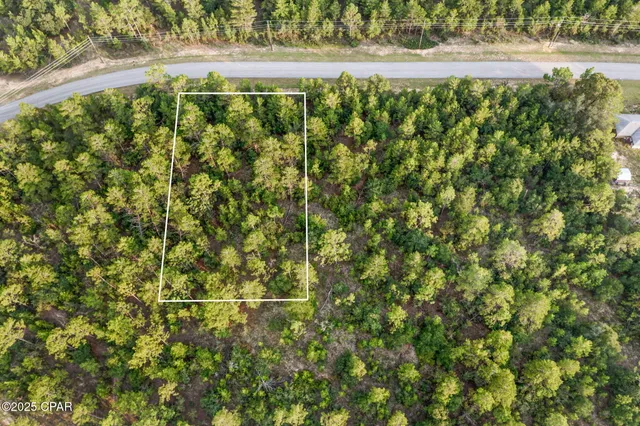 $17,499 | Xxx Shenandoah Boulevard, Chipley, FL 32428