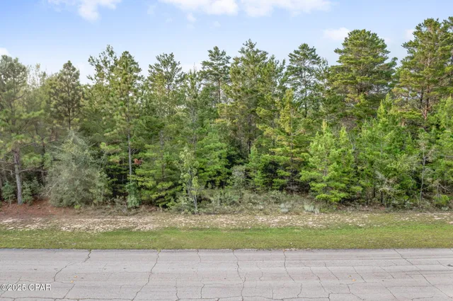 $17,499 | Xxx Shenandoah Boulevard, Chipley, FL 32428