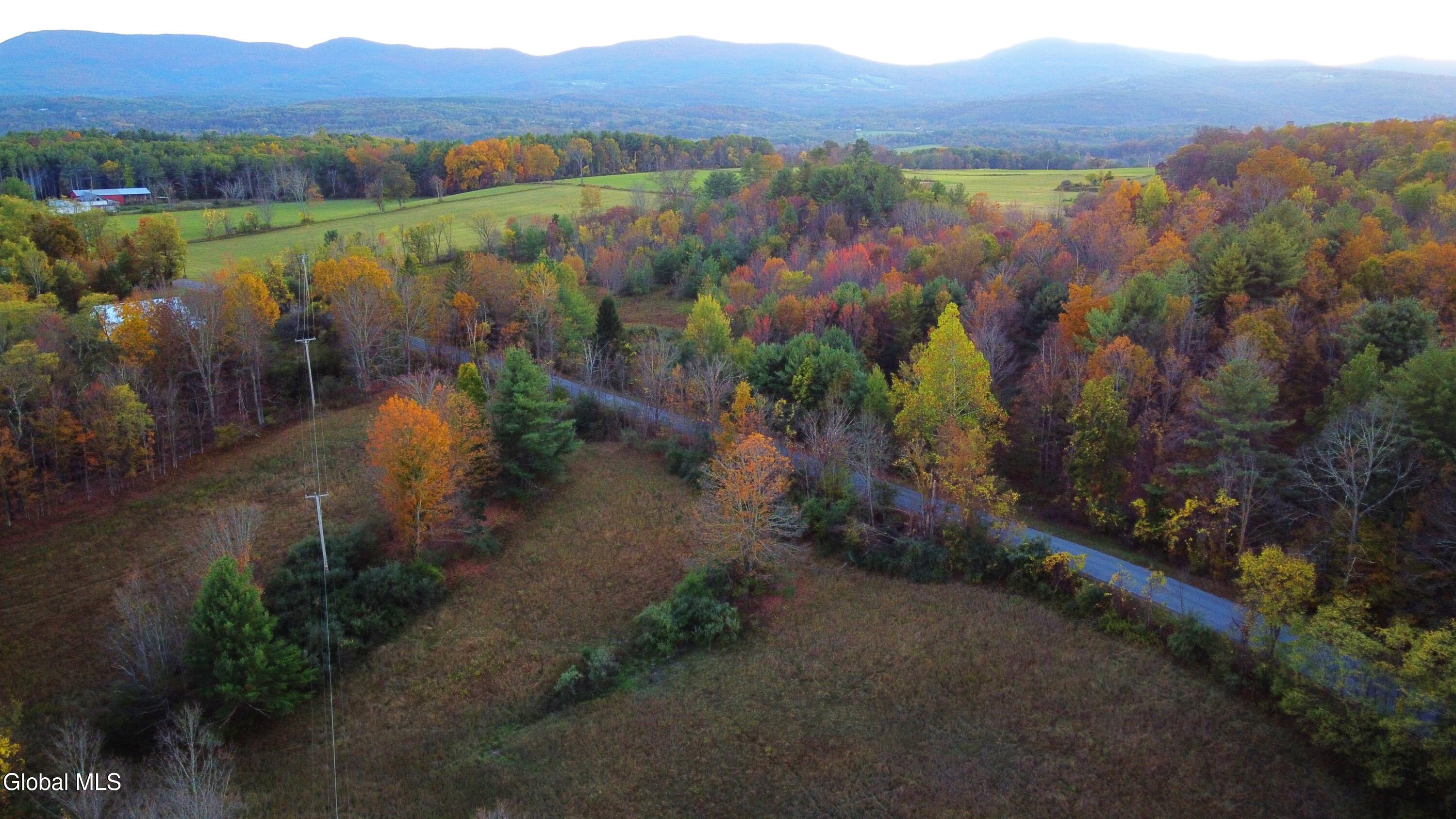 L2 Saybrook Hill Road Medusa, NY 12120 - Photo 11 of 22 11