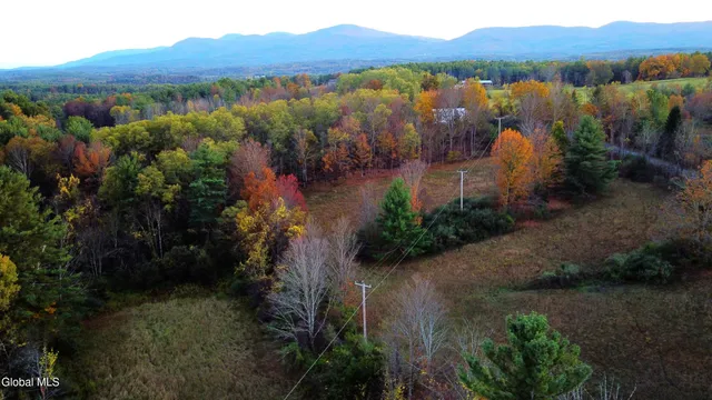 $660,000 | L2 Saybrook Hill Road, Medusa, NY 12120