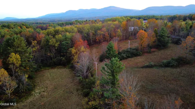 $660,000 | L2 Saybrook Hill Road, Medusa, NY 12120